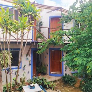 Hotel Jardin Mahahual